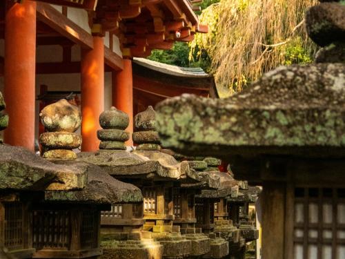 Nara photo by Svetlana Gumerova from Unsplash